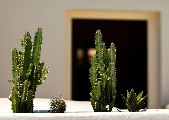 Rockhill Luxury Imerovigli *