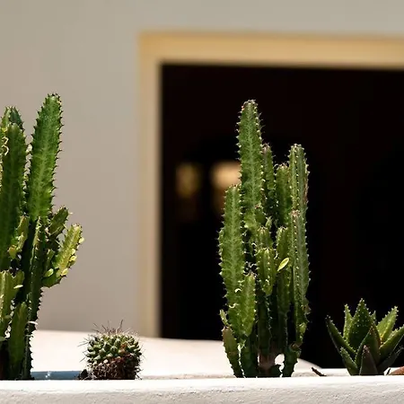 Rockhill Luxury Imerovigli *